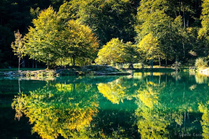 Lac de Bethmale, Ariege-Pyrenees