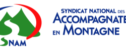 SNAM logo